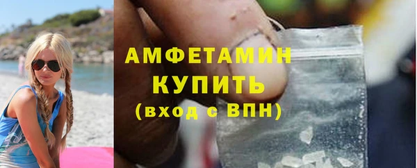 ПСИЛОЦИБИНОВЫЕ ГРИБЫ Заволжье