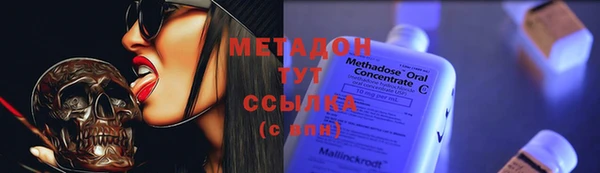 PSILOCYBIN Алзамай