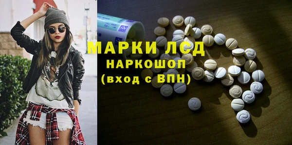 PSILOCYBIN Алзамай