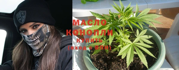 PSILOCYBIN Алзамай